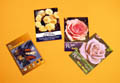 PolySyn Synthetic Paper used for Plant Tags